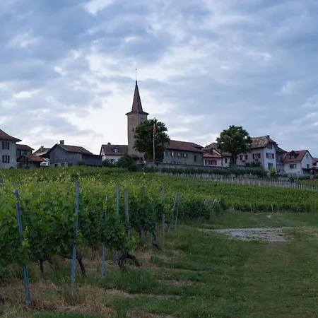 Le Chateau * Lavigny