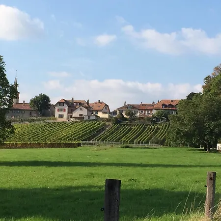 Le Chateau Villa *